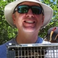 Squirrel Removal Services In Rocklin, CA: Why DIY Pest Control Isn’t Enough